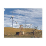 Blue Wind Postcard
