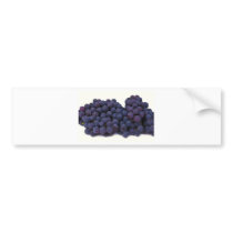blue wine grape bumper sticker