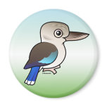 Blue-winged Kookaburra