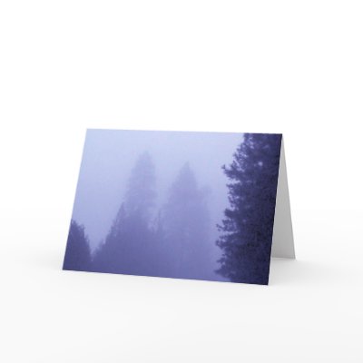 Blue Winter Greeting Card by captphrank