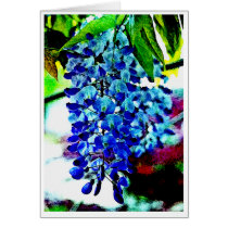Blue Wisteria Greeting Card