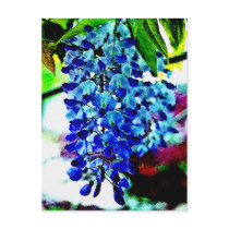 Blue Wisteria Post Cards