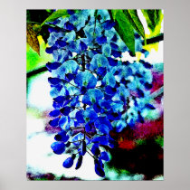 Blue Wisteria Posters