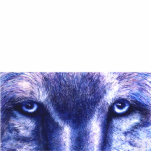 Blue Wolf Eyes, Photo Sculpture