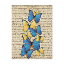 Blue & yellow butterrflies post cards