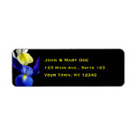 Blue & Yellow Iris 4b