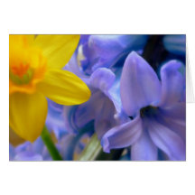 Blue Yellow Springtime Card