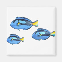 Blue & Yellow Tropical Fish Refrigerator Magnets