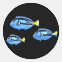 Blue & Yellow Tropical Fish Stickers