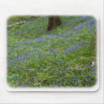 Bluebell Wood 8T33D-09 Mousepads