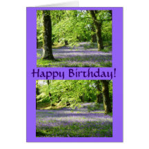 Bluebell Woods Card