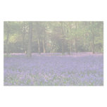 Bluebell Woods, England Personalized Stationery