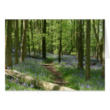 Bluebell woods greeting card