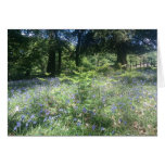 Bluebell Woods Greeting Card