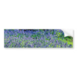 Bluebells, Crackley Wood, Kenilworth, Warks  flowe Bumper Sticker