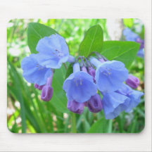 Bluebells Mousepad