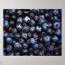 Blueberries Canvas Posters