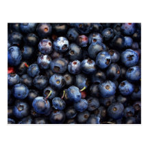 Blueberries Postcards
