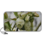Blueberry Blossoms PC Speakers