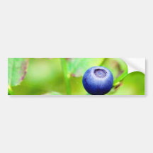 Blueberry Bumper Stickers