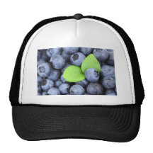 BLUEBERRY HATS