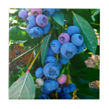 Blueberry Heaven Ceramic Tile