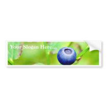 Blueberry In The Forest Bumper Stickers