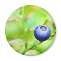 Blueberry In The Forest Fridge Magnet