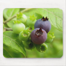 Blueberry Mouse Pads
