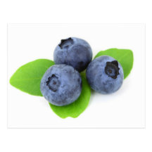 Blueberry Postcard