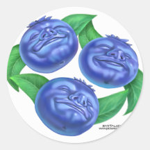 blueberry round stickers