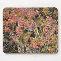 Blueberry shrub mousepad