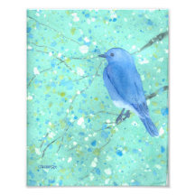 Bluebird Art Print Photo Print