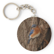 Bluebird Keychain