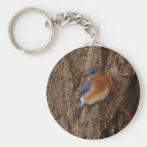 Bluebird Keychain