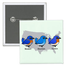 Bluebird Map Pin
