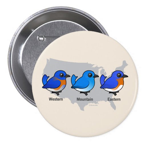 Bluebird Map Pinback Button