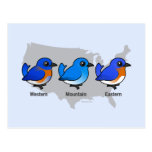 Bluebird Map Postcards