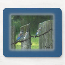Bluebird Mouse pad