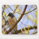Bluebird Mouse Pad