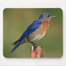 Bluebird Mouse Pad