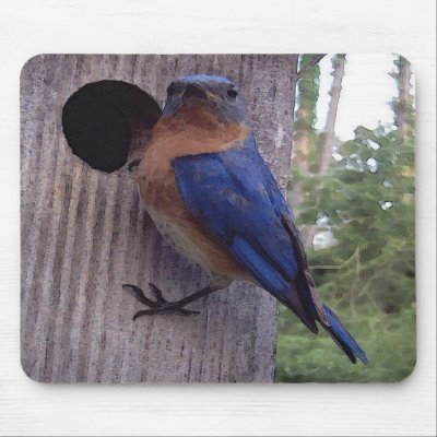 Bluebird Nest Box Mousepad by naturegirl7