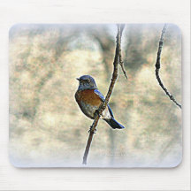 Bluebird of Happiness Mousepads