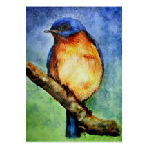 Bluebird Portrait ACEO Art Trading Cards Business Card Templates