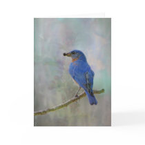 Bluebird Watercolor Card
