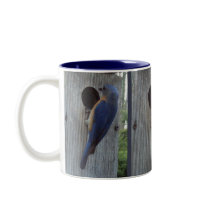 Bluebirds on Box Mug