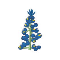 Bluebonnet
