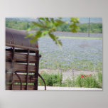 Bluebonnet Field posters