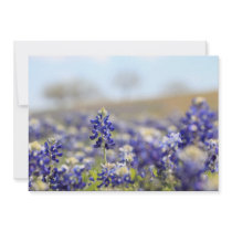 Bluebonnet Invitation