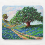 Bluebonnet Road Mouse Mats